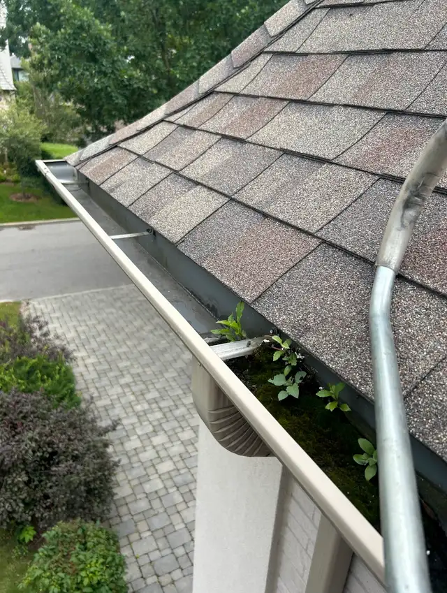 $100 starting Gutter Cleaning & Roof Repairs628632274792981210