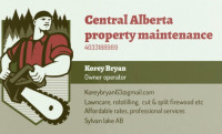 Lawncare and property maintenance