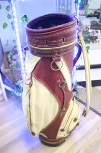 Titelist Golf Bag (#1284)