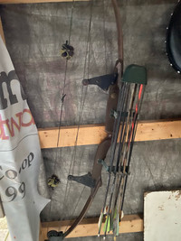 bear compound bow with arrows