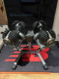 Nautilus Adjustable Dumbbells with Stand (price drop)