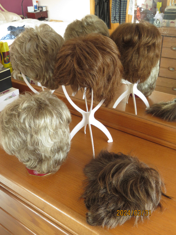 LADY'S WIGS in Health & Special Needs in Saint John
