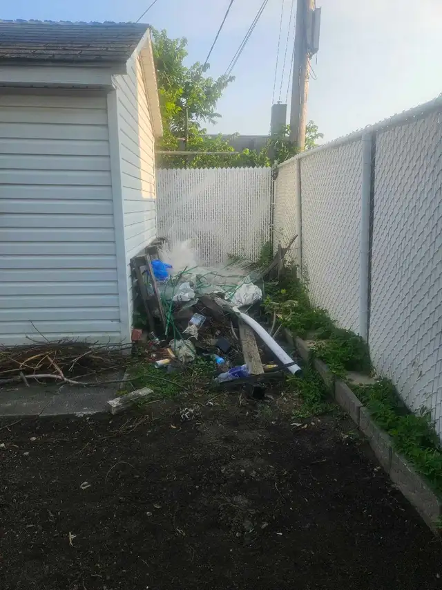 debris removal519876598952120322