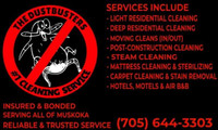 THE DUST-BUSTERS  #1 CLEANING SERVICE