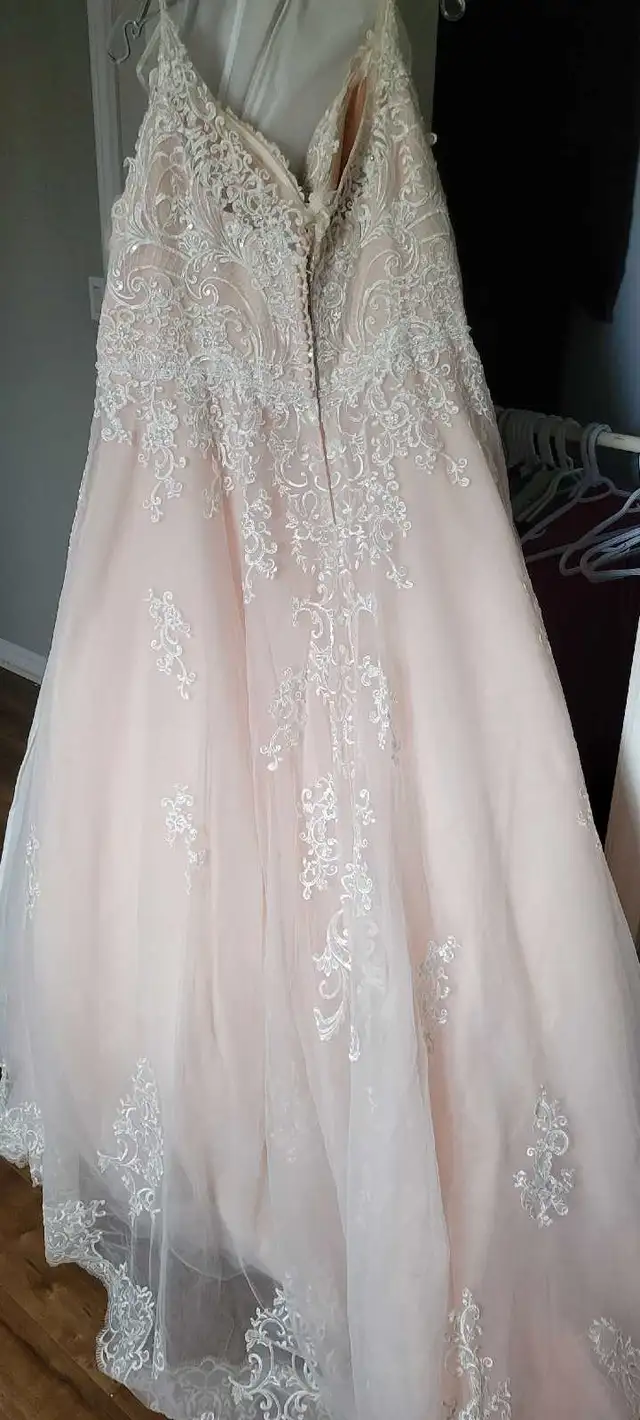 Plus Size Wedding Dress in Wedding in Cape Breton - Image 6