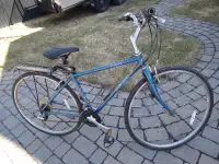Vélo hybride  bleu de marque Trek
