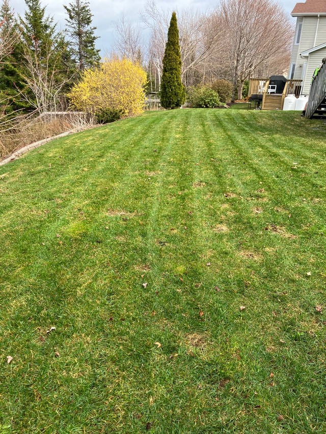 Lawn Mowing Cole Harbour/Dartmouth! FREE QUOTES in Lawn, Tree Maintenance & Eavestrough in City of Halifax - Image 4
