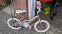 Free kids bike