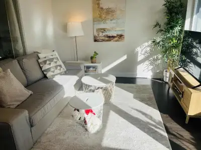 One bedroom Condo furnished Sublet in Downtown Toronto. Available immediately – July 31st. ALL UTILI...