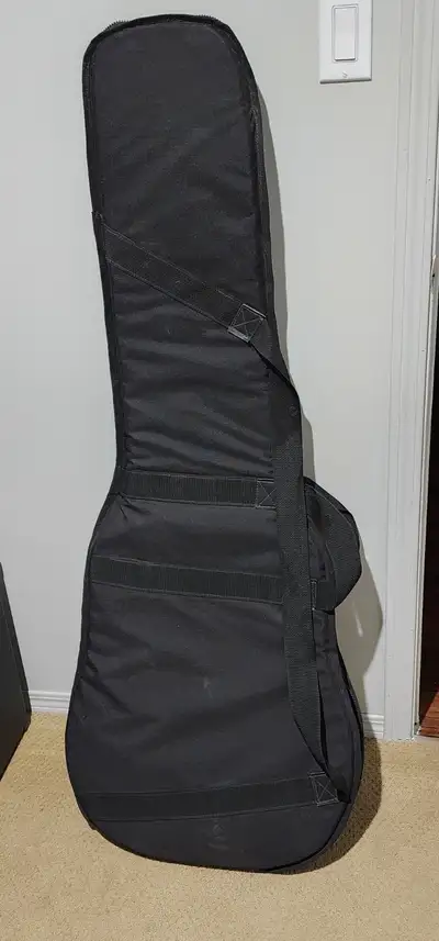 Custom Bass Gig Bag, View more