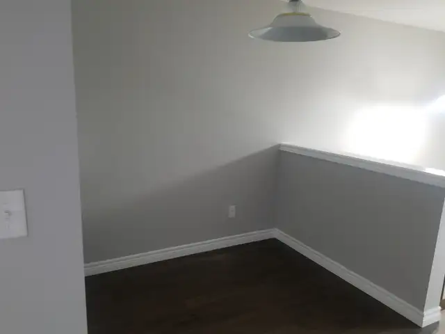 Pauls painting in Painters & Painting in Hamilton - Image 3