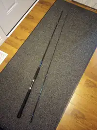 10ft Okuma Fishing Rod