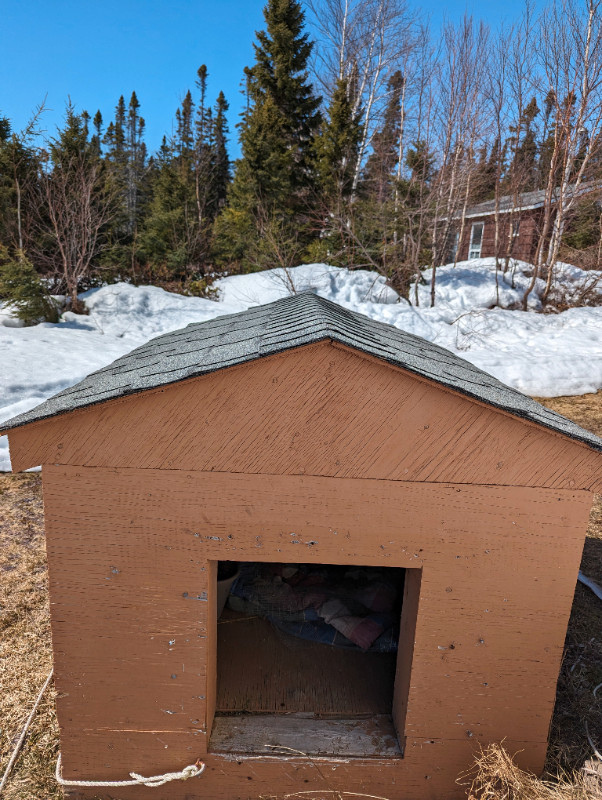 Doghouse in Accessories in Corner Brook