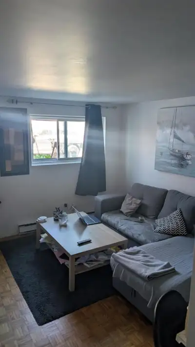 Appartement 3 1/2 à sous louer juste pour le mois de janvier ( du 26 décembre au 1 er février ) meub...