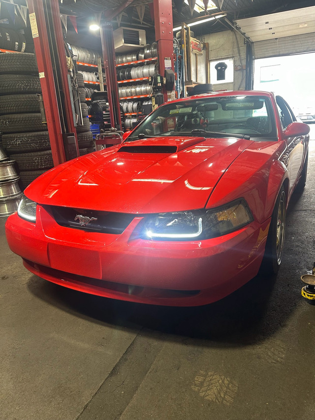 2000 FORD MUSTANG ALBERTA CAR in Cars & Trucks in City of Toronto - Image 3
