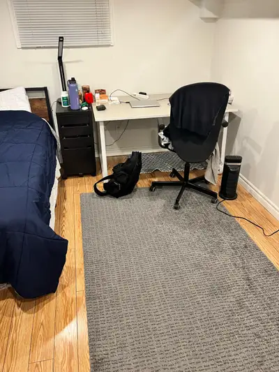 Newly renovated Student rental 500m to McMaster University