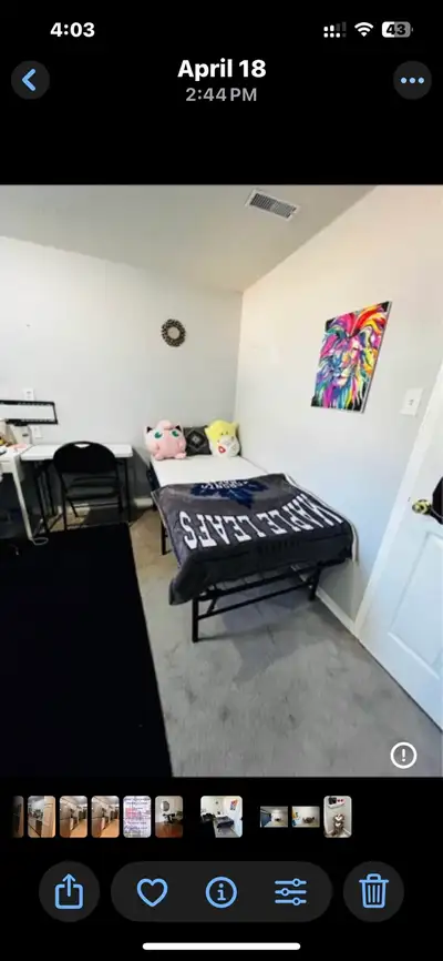 Shared Room /Private room Available for Female in barheaven area Full furnished room with all necess...
