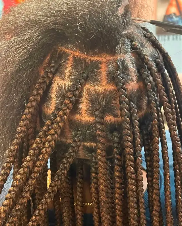 Affordable Braiding in Mississauga62863726223106123