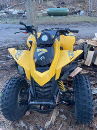 250 ds brp 2008