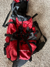 Canyon 35 hiking back pack