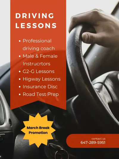 Professional Master Driving Instructors in Mississauga with excellent long experience English/Punjab...