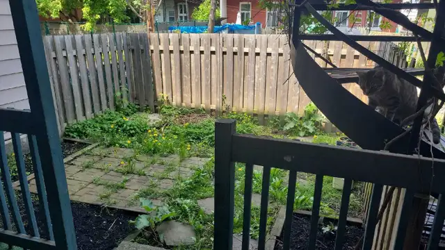 Private room for rent in Short Term Rentals in City of Montréal - Image 5