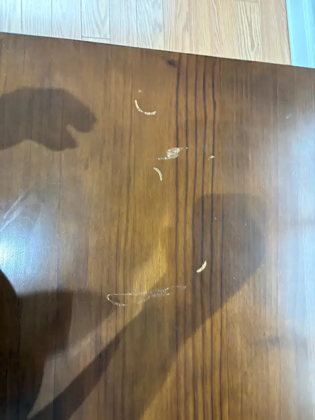 Solid Wood Dining Table  – $250 in Dining Tables & Sets in City of Toronto - Image 4
