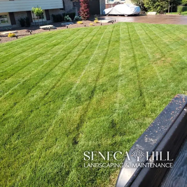 Professional Lawn Maintenance Plans | SenecaHill Landscaping in Lawn, Tree Maintenance & Eavestrough in City of Toronto - Image 3