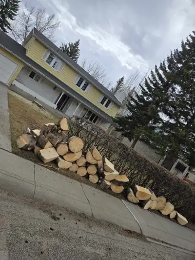 Free Firewood @ 3019 Linden Dr sW, Calgary, View more