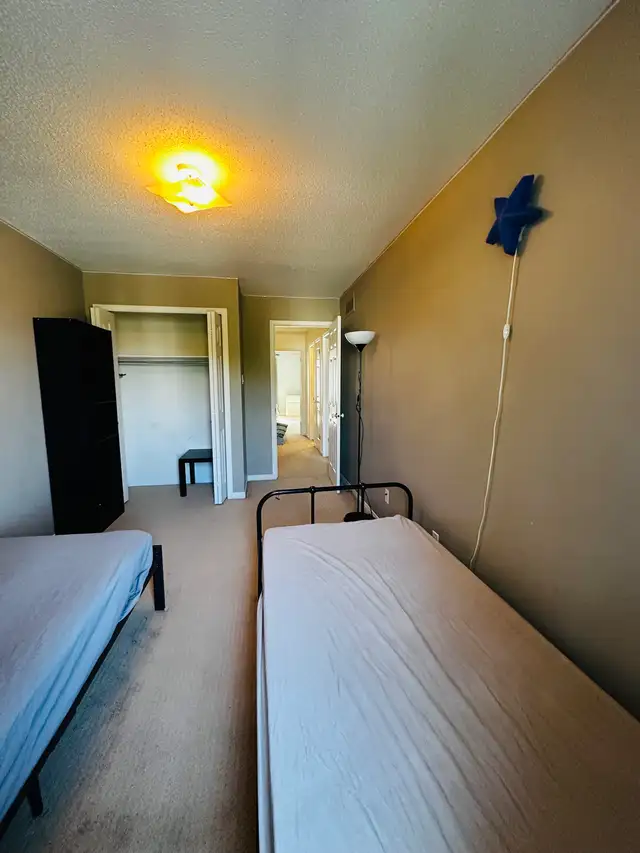 room for rent in Room Rentals & Roommates in Ottawa - Image 6