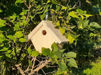 Wren Bird House