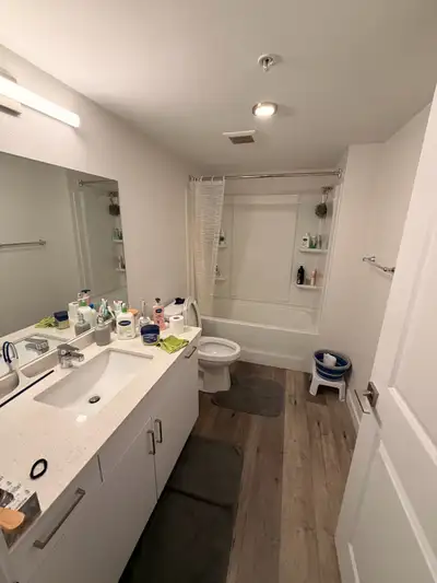 Accommodation available from 1st March Room in sharing (fully furnished) Or den available Total peop...