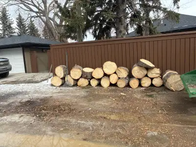 free firewood @ 1247 Richland rd ne, View more