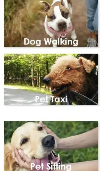 House/Pet Sitting/Concierge Services-Richmond Hill/Thornhill, View more