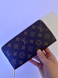 LV Louis Vuitton wallet bag porte-feuille