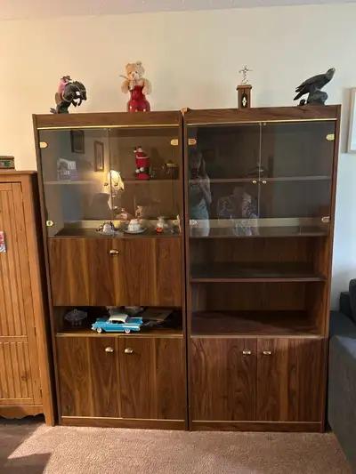 Two cabinets. Both together for $200. Each is 30”widthx71” heightx15.5” deep.