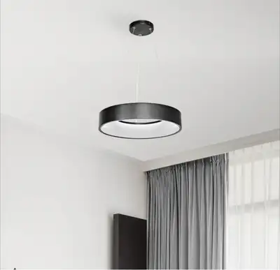 LED Circular Pendant Light Fixture in Matte Black, View more