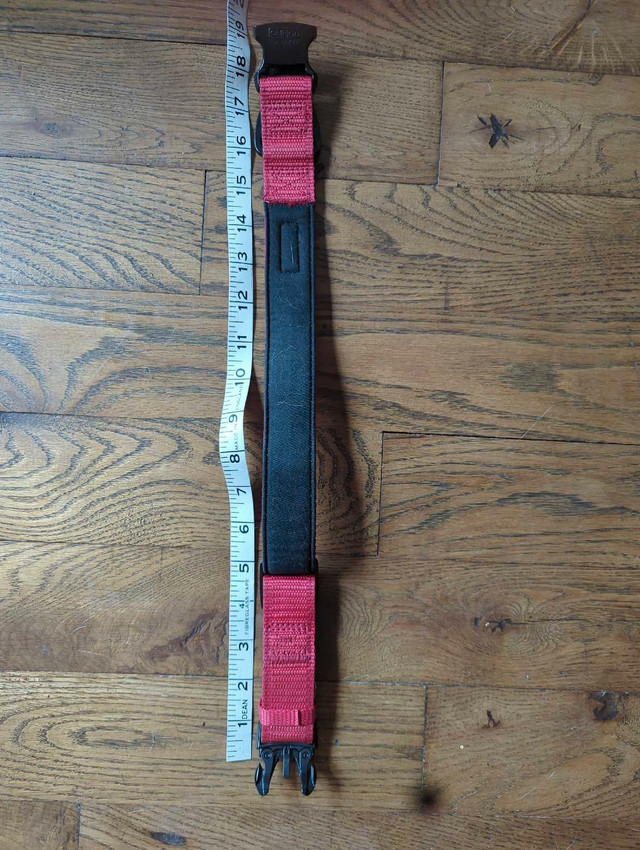 Kong dog collar size large  in Accessories in Kingston - Image 2