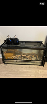 Reptile tank