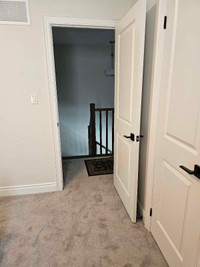 Clean spacious room rental available asap