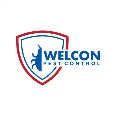 BEDBUGS, MICE, COCKROACH, BEDBUG, ANTS, WASP, PEST CONTROL, View more