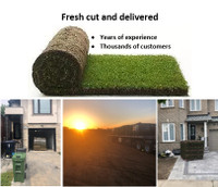 SPRING  SALE ON NOW -Farm Fresh Cut FREE DELIVERY...
