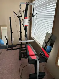 Bowflex Workout Machine