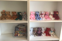 TY Beanie Babies Bears with hanging tag attached