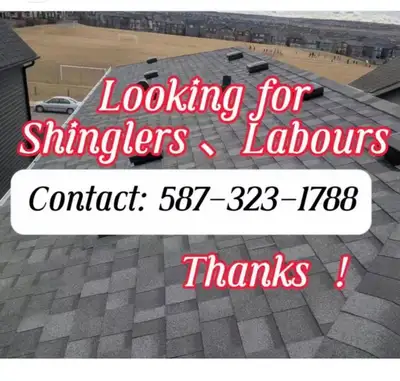 looking for roof shinglers and abours , View more