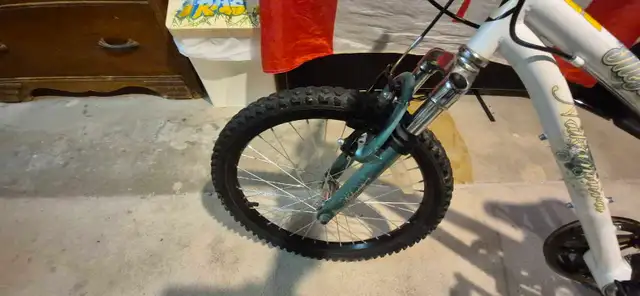 Youth Mountain Bike – Fully Tuned, Greased & Tuned Ready to Ride in Kids in London - Image 11