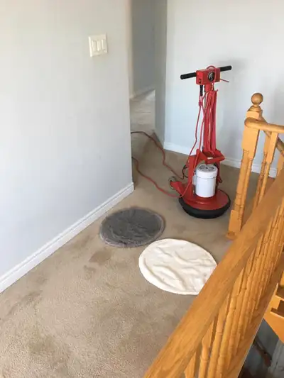 Best Carpet Cleaning In GTA, View more