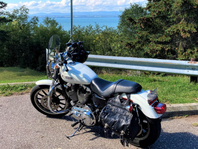 HARLEY DAVIDSON SPORTSTER XL1200 L 2007