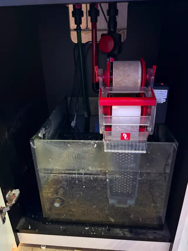 Red Sea Reefer 200XL + White Cabinet + Other Equipment in Other in Oakville / Halton Region - Image 5