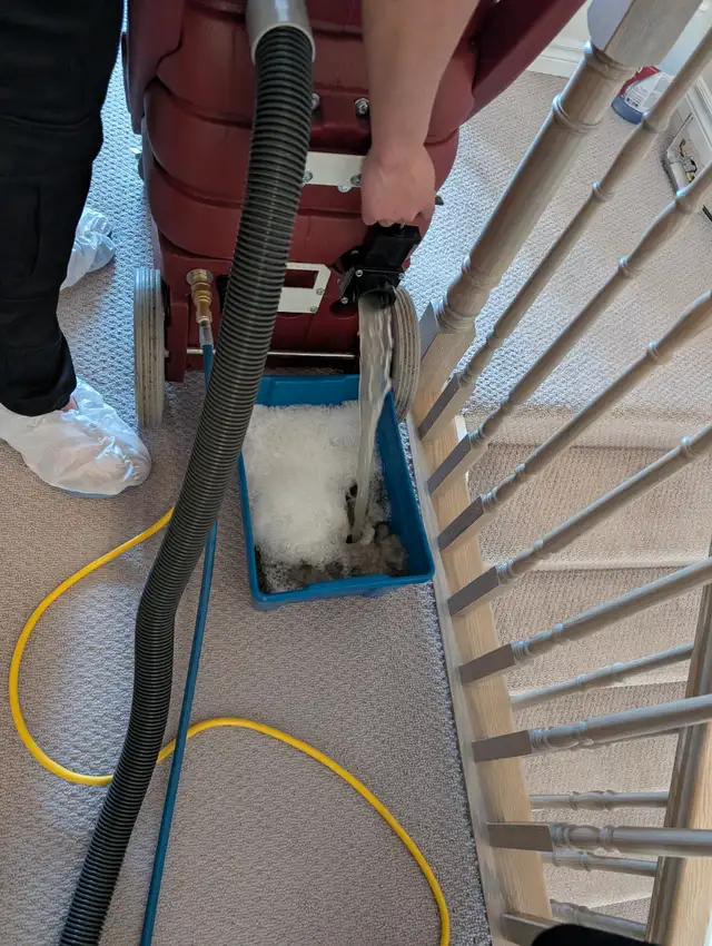 Carpet, Office, and House Cleaning Service62863724159362122
